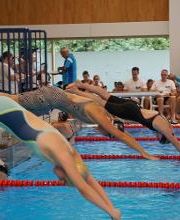 White Sharks Trier e.V. Bild 14