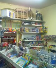 Hobby,Sammel und Spielzeugwelt Fachhandel Bild 2