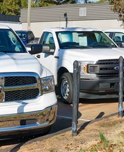 Trucks Parked in a Row