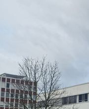 Wise Solution GmbH Bild 3