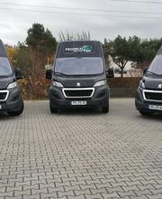 Protect Autoglas OHG Bild 3