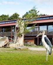 Kiwara-Lodge Bild 6