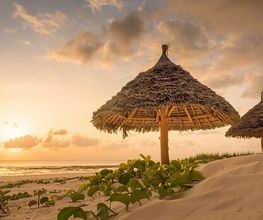 Die Reisegalerie GmbH Bild 11