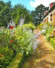 Fuchs Magali image 15