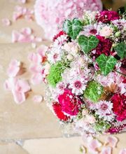 Blumen Krippner Bild 12