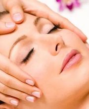 La Cinquième Saison Sion Bild 2