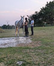 Signolet Ilona image 5