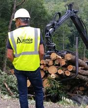 ALLIANCE Forêts Bois image 6