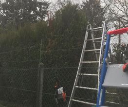 Service Espace Vert image 6