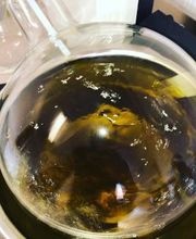 Canbas Hanfshop Bild 3