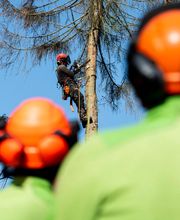 VB Dienstleistung GmbH Bild 11