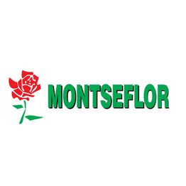 floristeriamontseflorlogo.jpg