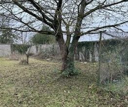 Roye Garden image 11