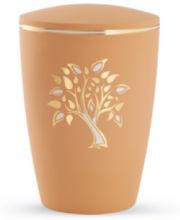 Bestattungen Meder Bild 11