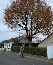 Douaire David image 7