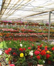 SCEA DE BEAUNE image 6