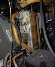 EI Geloen David image 6