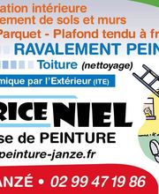Fabrice Niel image 1