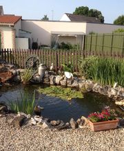 Denis Bâches image 9