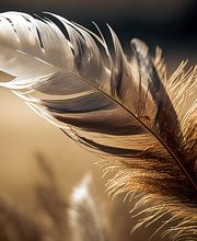 achtsam bestatten GmbH – vormals Sandro Lüthi Bild 3