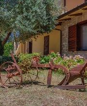 Agriturismo la Mora - Agriturismo Assisi immagine 3