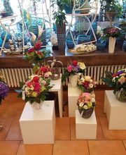 Blumen Nouvelle Fleur Bild 3