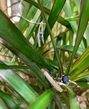 JEANVOINE S.A.S. image 17