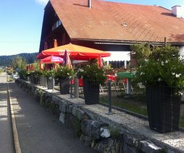 Grüene Aff Bild 4