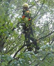 Nicolas Mercier image 2