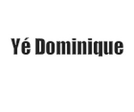 Yé Dominique image 2