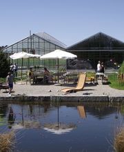 Biogärtnerei & Naturgärten Neubauer Bild 3