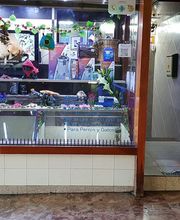 AmaitaVet Clínica Veterinaria imagen 1