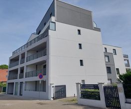 Martin Anne image 17