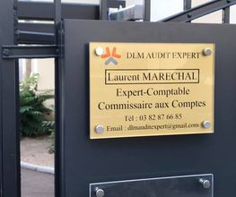 DLM Audit Expert image 3