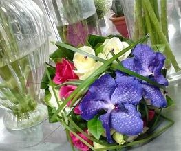 Floréal image 4