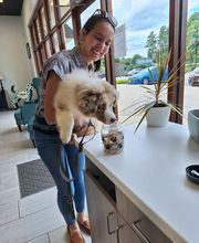 COTA Veterinary image 5