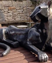 Antonio Serón Blasco imagen 3