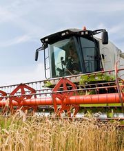 AGRÍCOLA SC imagen 5