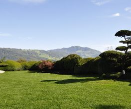 Ulrich Gartenbau AG Bild 8