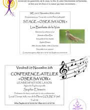 Sophie VoisLaVoix image 19