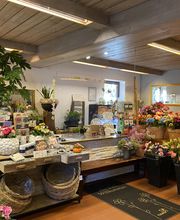 Blumen Advena Bild 4