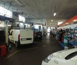 Euromaster Bonsi Romolo immagine 6