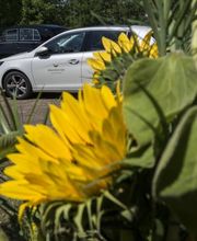 Hausgeister AG Bild 7