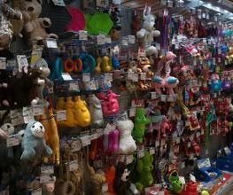 Habekost Heimtiermarkt Bild 10