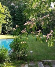 Le Petit Manoir de Keriolet image 8