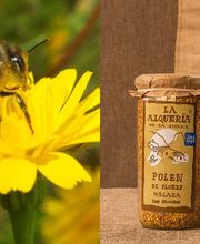 MIEL Y SOLO MIEL imagen 10