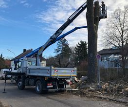 Trinkgeld GmbH Garten- & Landschaftsservice Bild 27