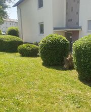 Ch-Clean - Gebäudereinigung & Objektservice Bild 18