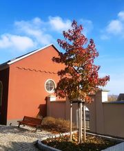 Zentrale Friedhofsverwaltung Plauen Bild 3
