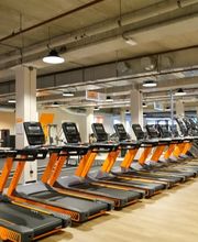 Basic-Fit 24/7 afbeelding 5